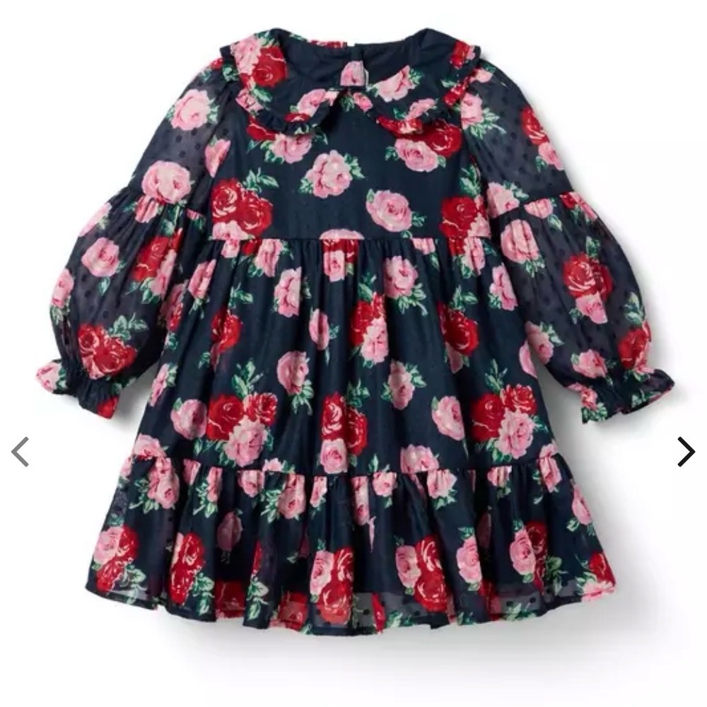 Janie and Jack The Rose Dot Dres